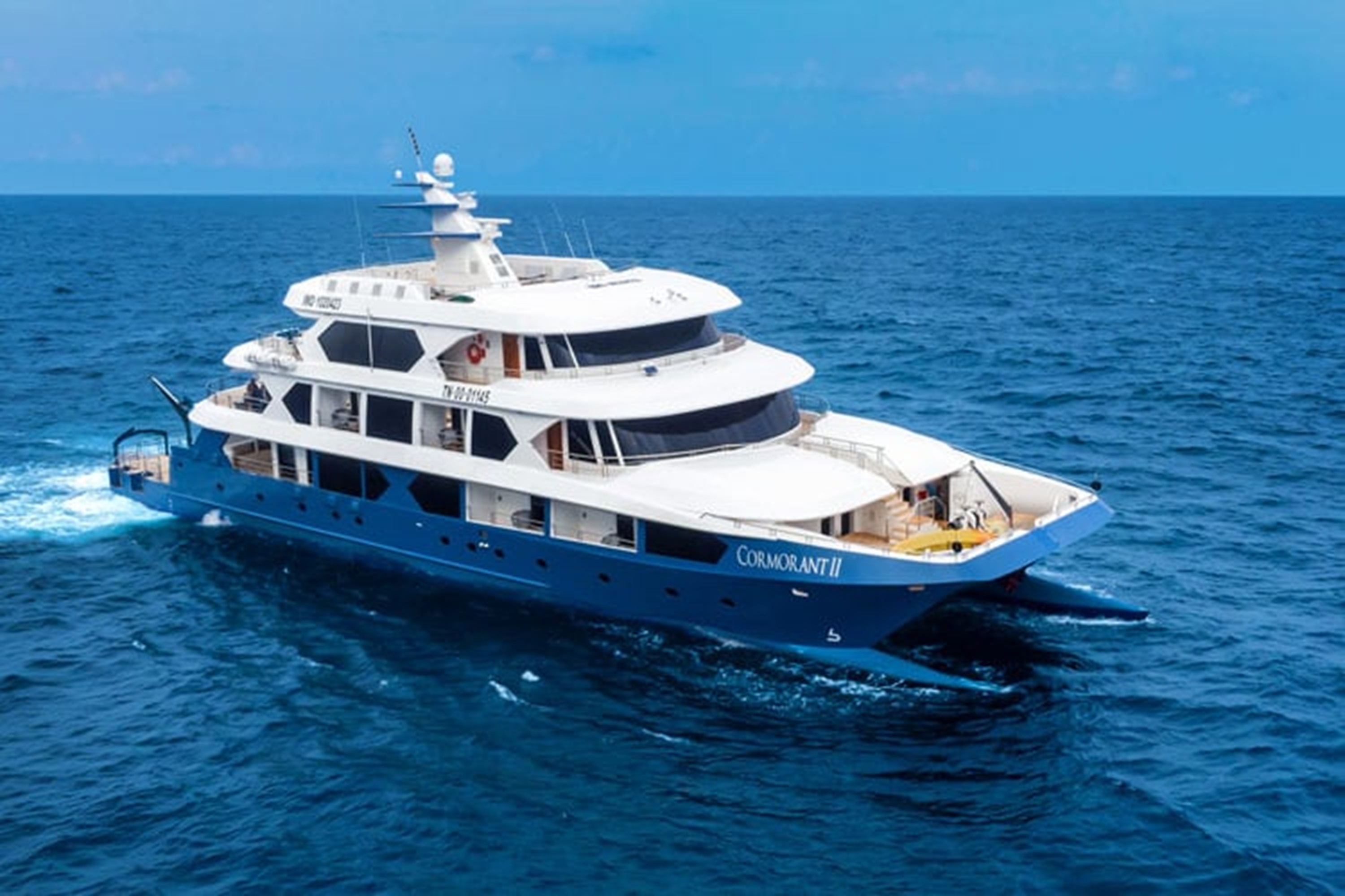 Cormorant II Catamaran