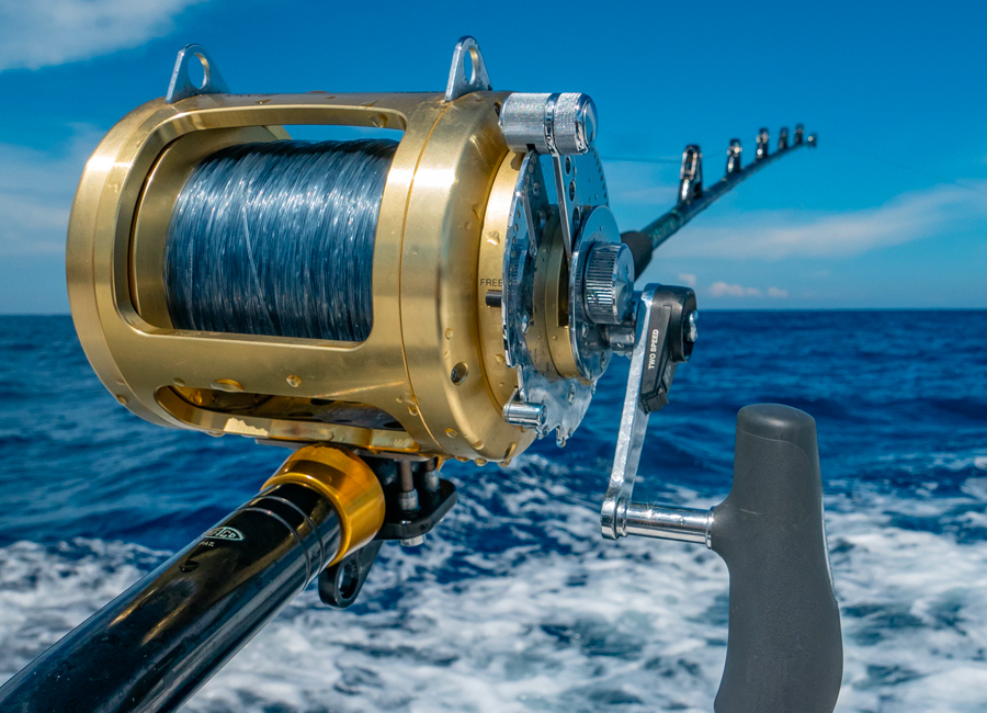 Fish Rod